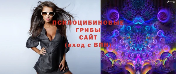 ешки Аркадак