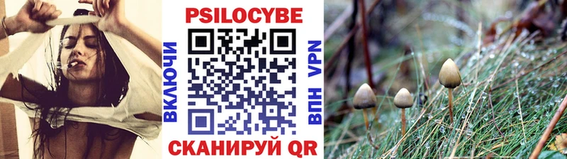 Псилоцибиновые грибы Cubensis  Очёр 